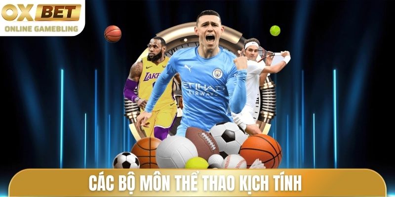 Các bộ môn thể thao kịch tính thu hút đông đảo người chơi