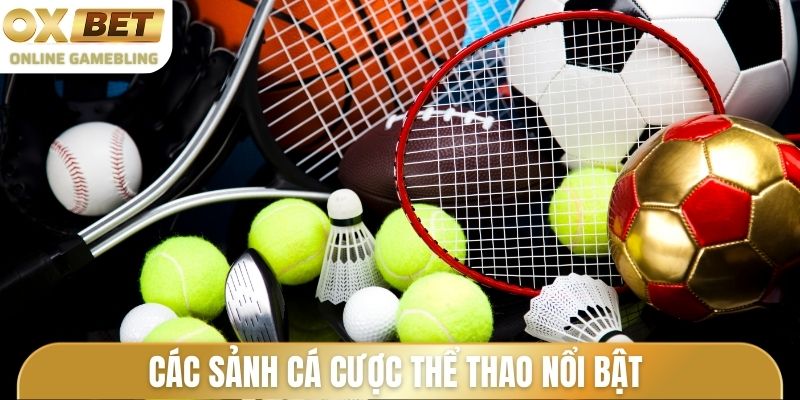 Các sảnh cá cược thể thao nổi bật đang thịnh hành