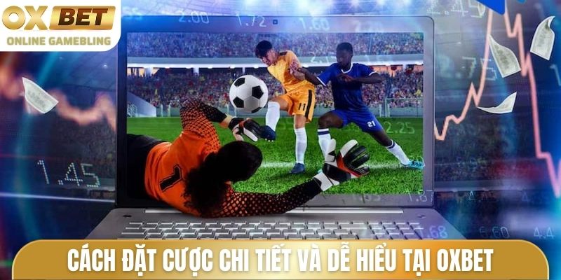 Cách đặt cược chi tiết và dễ hiểu tại nhà cái Oxbet