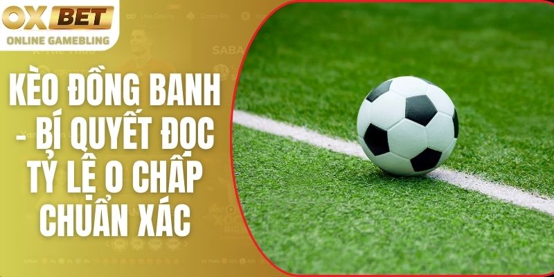 Kèo Đồng Banh - Bí Quyết Đọc Tỷ Lệ 0 Chấp Chuẩn Xác