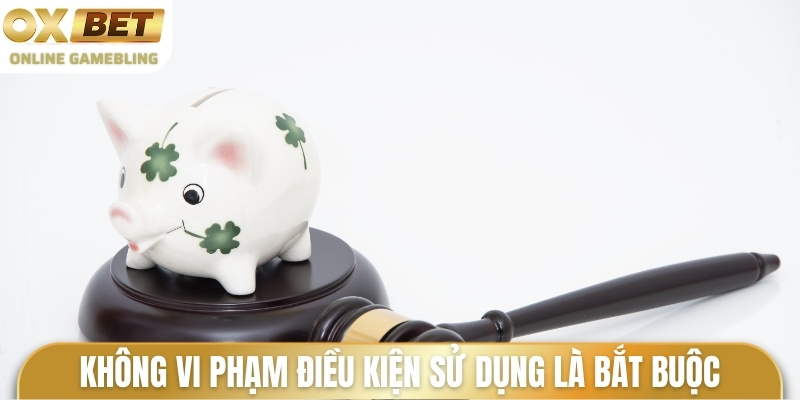 Không có vi phạm điều kiện sử dụng là yêu cầu bắt buộc
