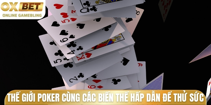 Thế giới Poker cùng các biến thể hấp dẫn để thử sức