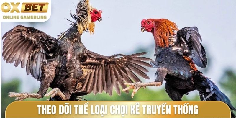 Theo dõi thể loại chọi kê truyền thống
